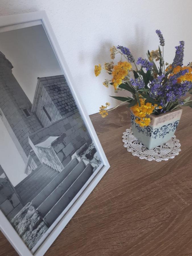 Apartments Starshine & Lighthouse Rogoznica  Εξωτερικό φωτογραφία