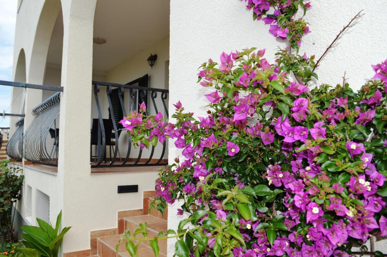 Apartments Starshine & Lighthouse Rogoznica  Εξωτερικό φωτογραφία